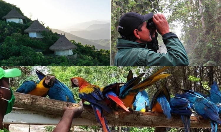 Lugares sostenibles para visitar en Colombia cuando estemos en la época pospandemia