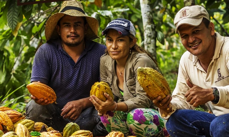 El albúm más querido por los colombianos destinará su venta para los cacaoteros del país