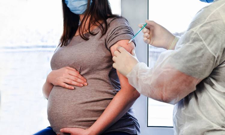 Estudian si vacunas aplicadas a mujeres embarazadas también protegerán a los fetos