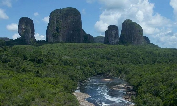 La biodiversidad de Colombia descubierta gracias a las expediciones