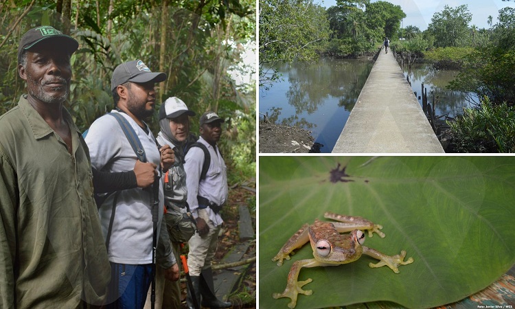 El Bajo Baudó, un epicentro de biodiversidad de gran importancia para los colombianos