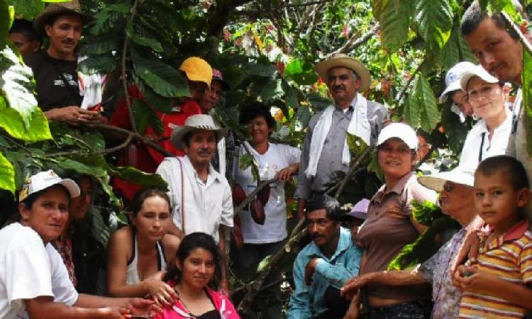 El emprendimiento con base en el cacao que apoya a más de 27 mil familias en Colombia