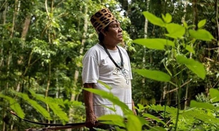 La comunidad indígena que con ayuda de Google defiende la Amazonía