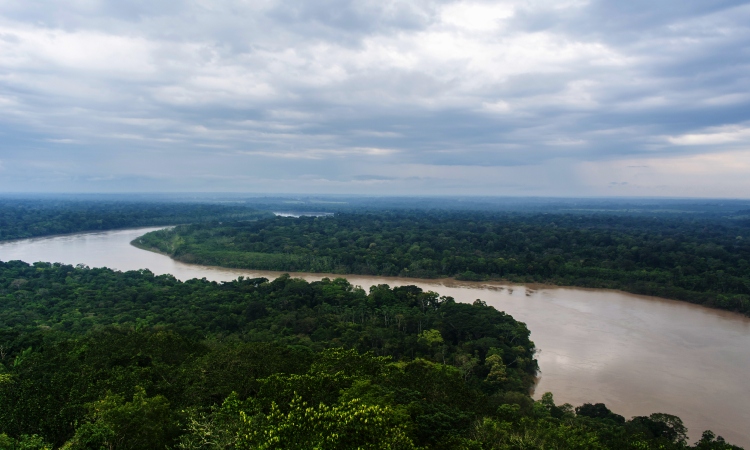 Guaviare tiene la primera área protegida regional, ¡conecta tres reservas naturales!