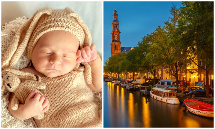 Sembrar un árbol por cada recién nacido, la alternativa de Ámsterdam para ayudar al medio ambiente