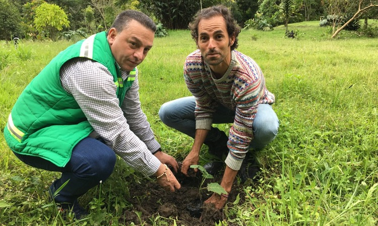 El mejor tenista de la historia de Colombia ayudará a sembrará 2,5 millones de árboles