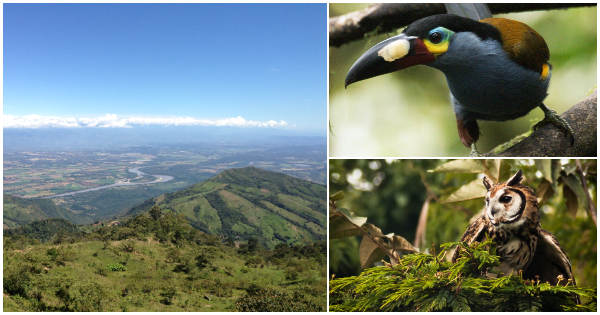 El país tiene un nuevo santuario de aves. Un lugar para proteger