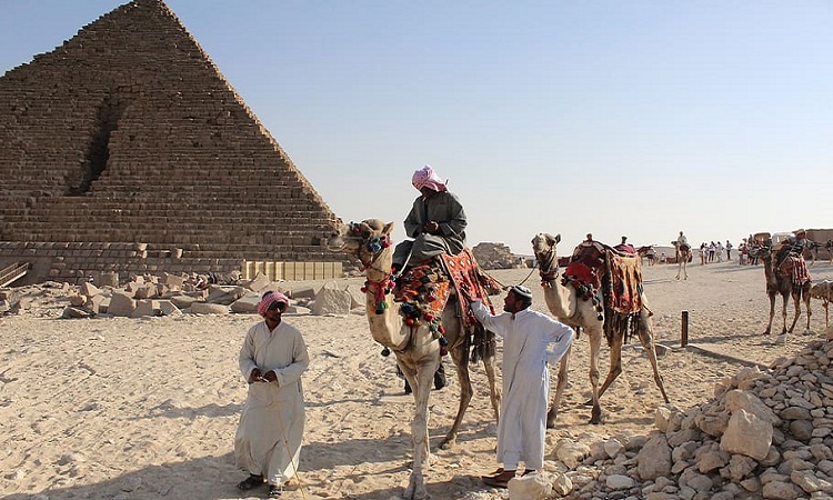 Egipto prohibirá los paseos en camello para recorrer las pirámides