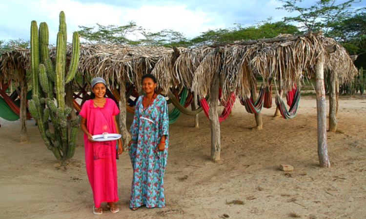 En el departamento de La Guajira se construirá el parque eólico más grande del país