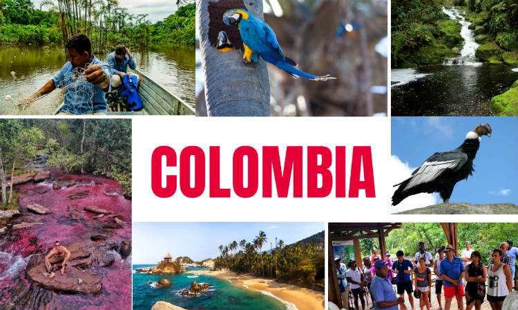 Parques Naturales estrenan pasaporte para que conozcas la biodiversidad de Colombia