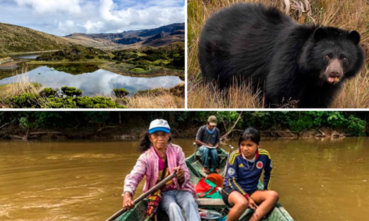 Apple invertirá en la protección del medio ambiente en Colombia