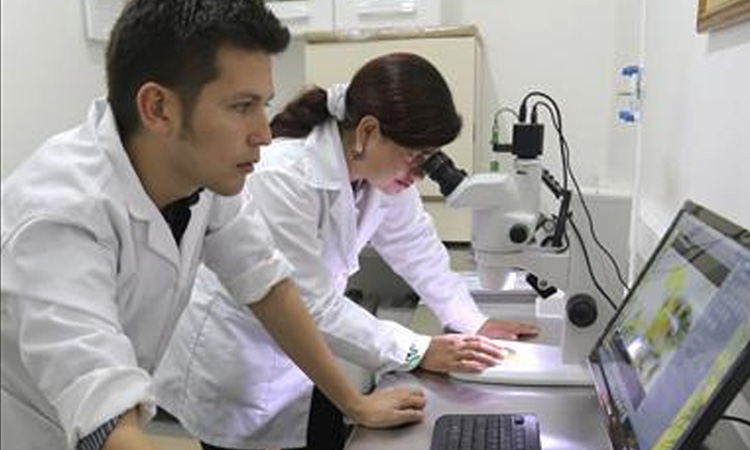 La creación del Ministerio de Ciencia y Tecnología en Colombia fue aprobada en el Congreso