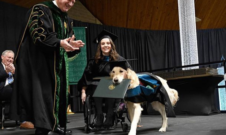 Perro que acompañó a joven en silla de ruedas durante toda su maestría se graduó con honores