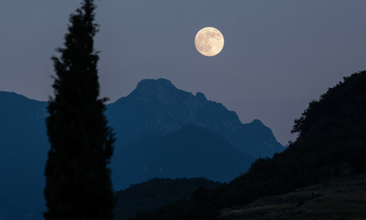 Una semilla de algodón germinó en el lado oculto de la luna ¡Es histórico!