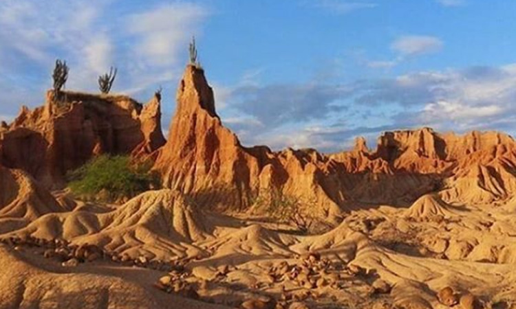 ¡Los fósiles del desierto de la Tatacoa están a salvo! Este hombre protege a 1.500 especímenes