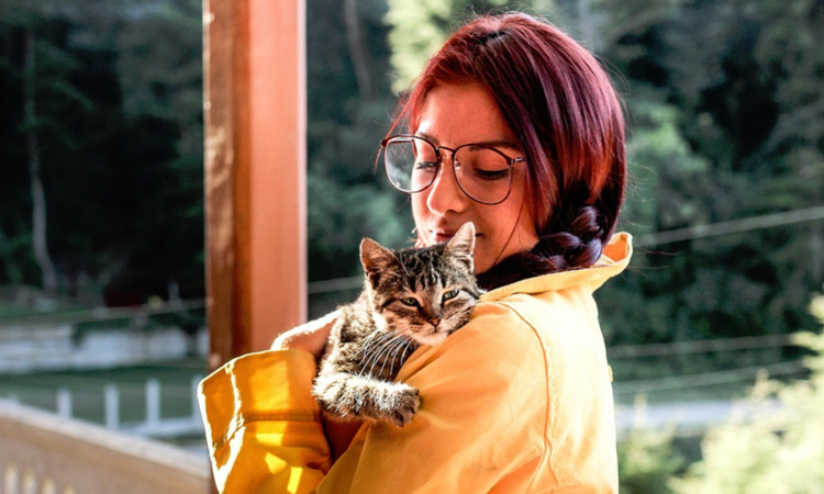 Estudio reveló que tener un gato ayuda a que las personas sean emprendedoras