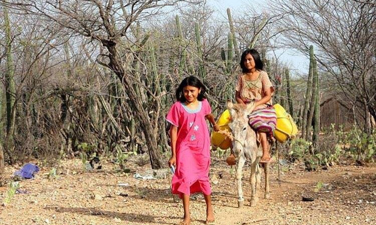 Niños wayuú tendrán garantizada la educación: así lo decretó la Corte Constitucional