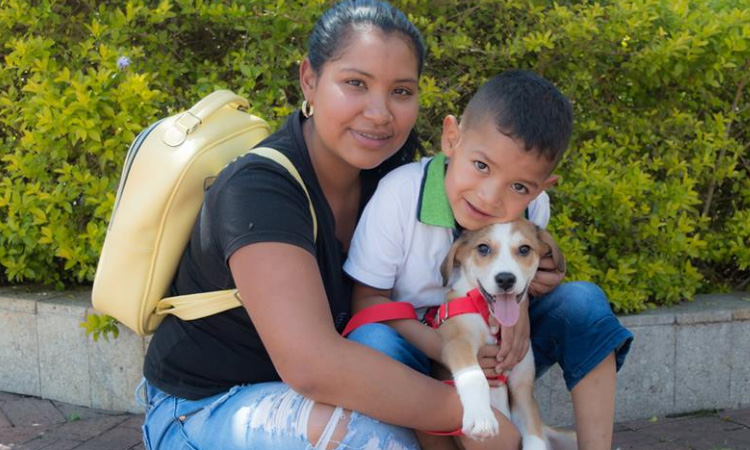 Colombia tiene el primer refugio ‘5 estrellas’ para perros y gatos abandonados