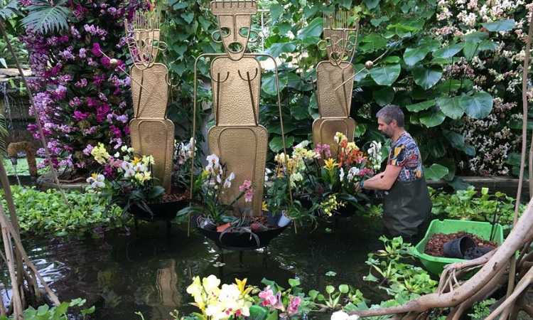En Londres se exhibieron más de 10.000 orquídeas colombianas