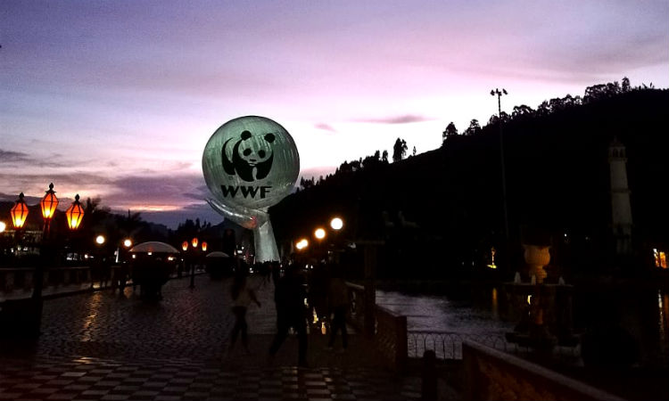 Así se vivió La Hora del Planeta en Colombia y el mundo ¡Todos unidos por el planeta!