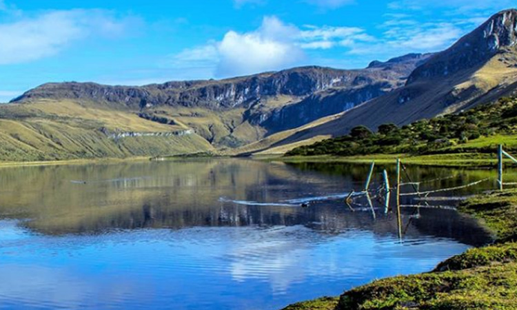 ¡Día mundial del Agua! Colombianos encuentran la forma de purificar este líquido con residuos