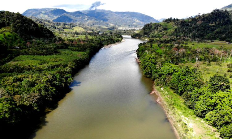 Colombia tiene pensado frenar la deforestación en el 2022 para lograr un equilibrio que favorezca al medio ambiente