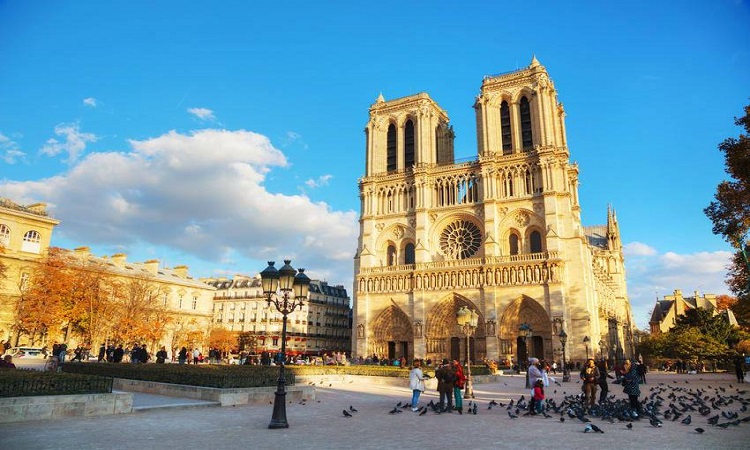 Por qué la Catedral Notre Dame es un símbolo cultural para toda la  humanidad? - La Nota Positiva
