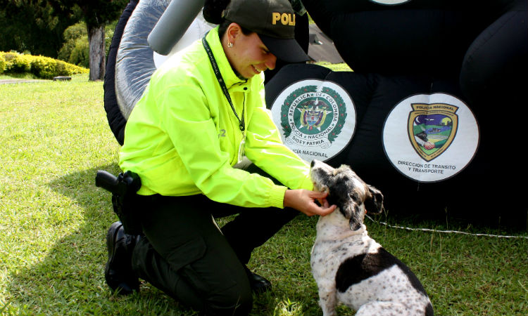 Colombia, el país donde los perros callejeros se convierten en policías