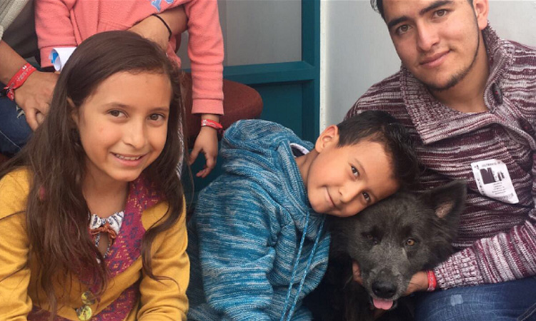 ‘Mano Amiga’ la ley que busca auxiliar a todos los perros callejeros de Colombia