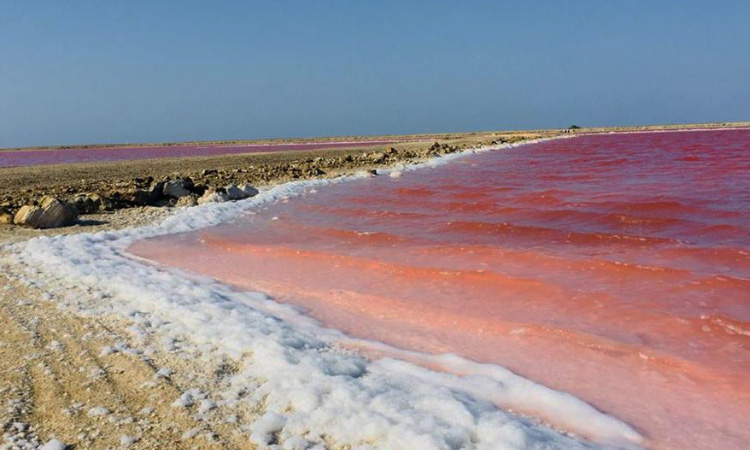 El paraíso colombiano que poca personas conocen ¡Un mar rosado!