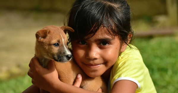 En Antioquia funciona el primer hospital con Unidad de Cuidados Intensivos (UCI) para mascotas