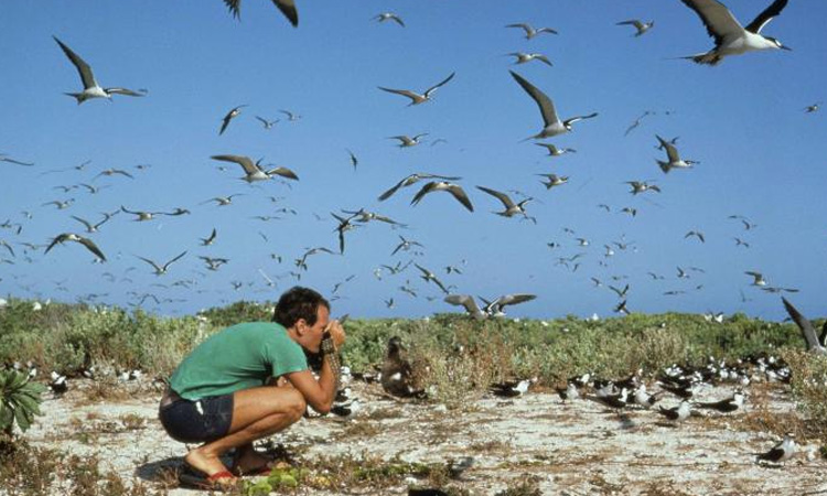 Colombia se coronó como el país con más avistamientos de aves en el mundo