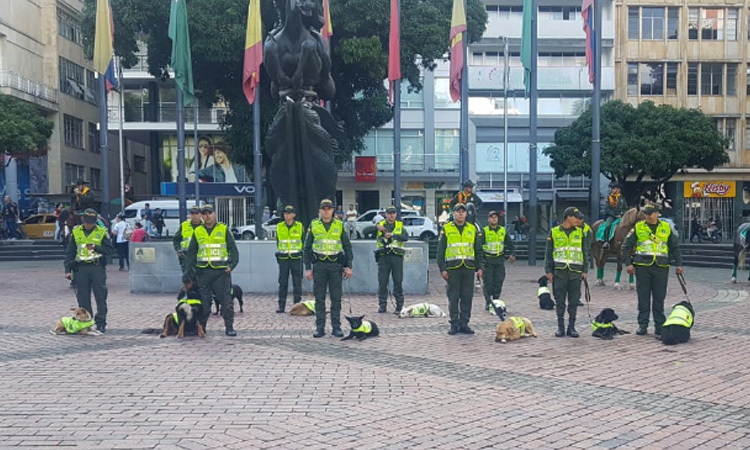 En Colombia los perros de la calle son adoptados por la Policía y los acompañan en su patrullaje