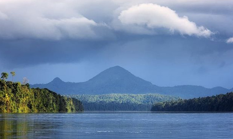 Coalición Agua para Colombia, la iniciativa que busca proteger el agua de todo el país