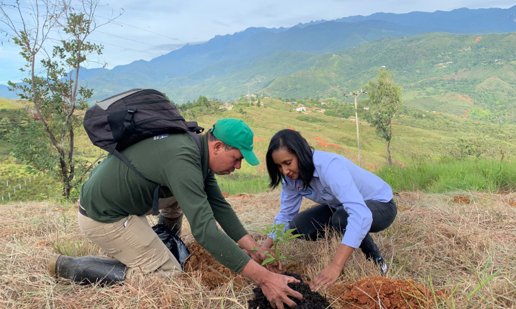 Colombia celebra el Día del Medio Ambiente sembrando más de 2.000 arboles