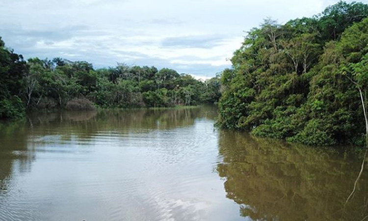 Alto Tribunal de Tolima le otorgó derechos a tres ríos para detener la explotación minera