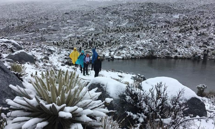 Nuevamente cayó nieve en el Parque Nevado el Cocuy ¿Por qué está nevando constantemente?