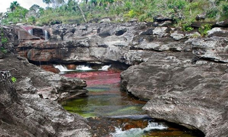 En Colombia se prohibirá el ingreso de plásticos a los parques naturales ¡Por un mejor medio ambiente!