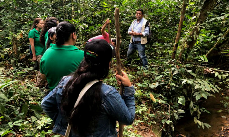 Las mujeres que conservan uno de los bosques más deforestados de Colombia