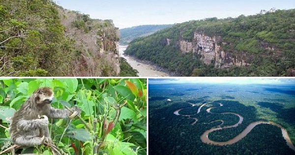 Proyecto busca mayores recursos para los parques naturales de Colombia