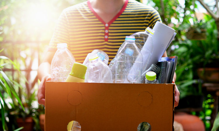 Metas propuestas a corto y largo plazo para avanzar en la cultura de reciclaje