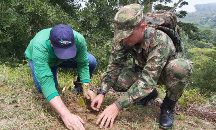 Se pone en marcha plan para reforestar zonas afectadas por incendios forestales