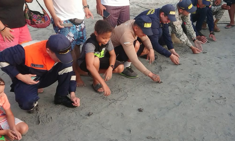 Armada de Colombia liberó tortugas marinas en Providencia ¡Gran iniciativa!