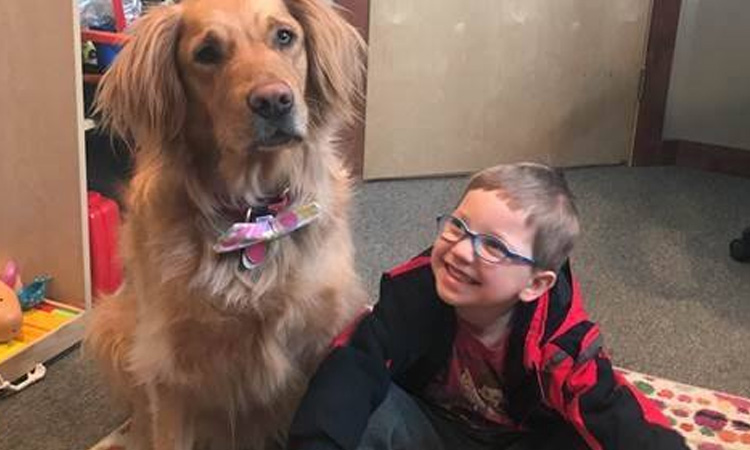 Conoce al perro que les cambia las vidas a los niños que sufren de autismo ¡Un verdadero doctor!