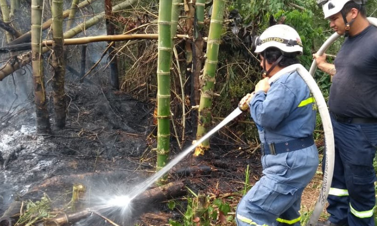 Con este nuevo proyecto de ley se busca evitar los incendios forestales en Colombia