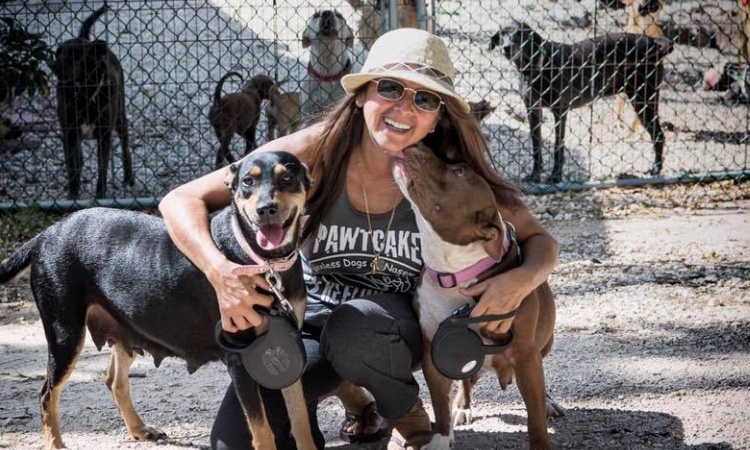 Mujer albergó a cerca de 100 perros de la calle mientras pasaba el huracán Dorian ¡Un ángel para estos animales sin hogar!