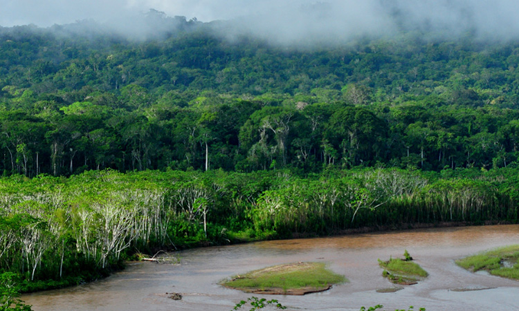 Colombia y 10 países más firman un pacto para salvar y proteger el Amazonas