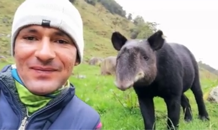 El emocionante encuentro entre un hombre y una danta ¡Algo hermoso!