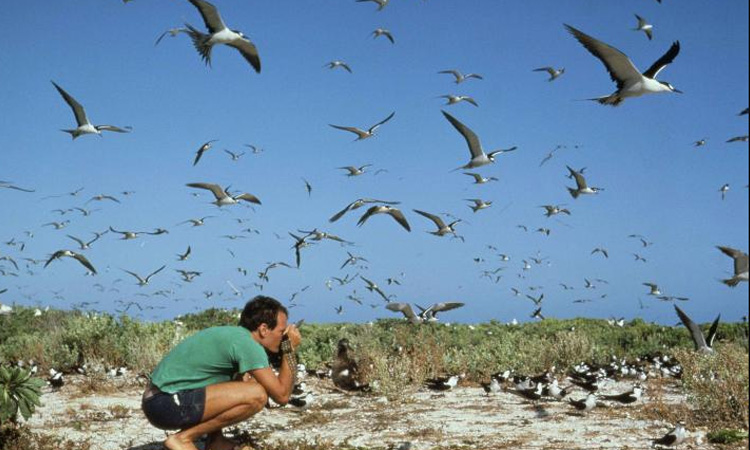 El emotivo video que enamora a los pajareros del Colombia BirdFair 2020