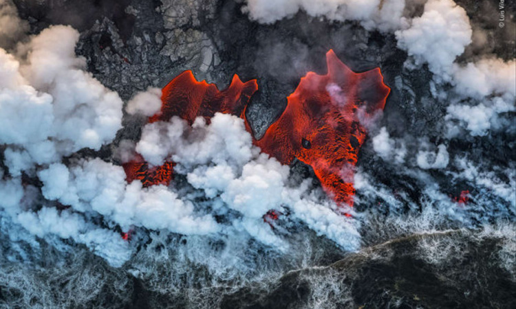 Las fotografías más hermosas, extrañas o excepcionales de criaturas y sus hábitats en el mundo